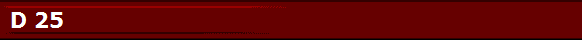 D 25