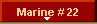 Marine # 22