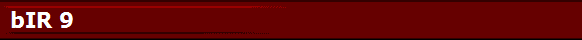 bIR 9