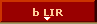 bLIR